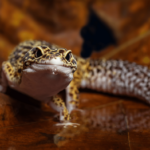 Find Out How Long Leopard Geckos Can Go Without Food Here