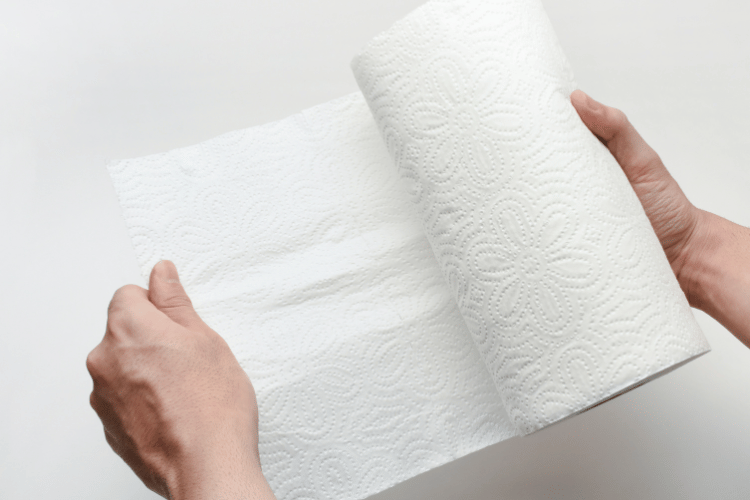 Hand holding paper towel